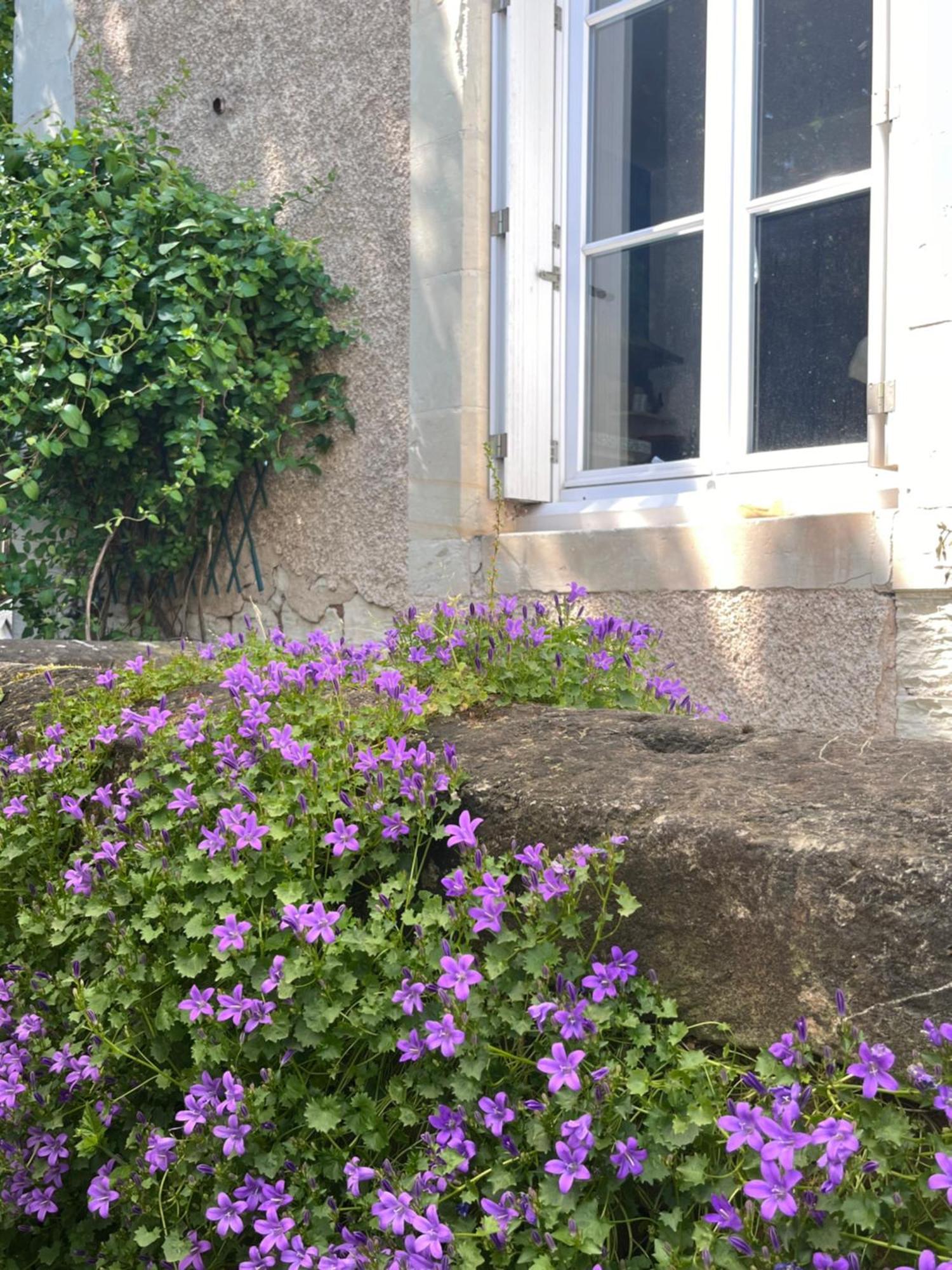 Le Clos Gabrielle Chatellerault Bagian luar foto